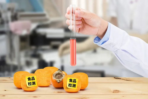 史上最嚴《四川省中小學校食品安全管理辦法》正式實施，守護學生餐飲服務安全